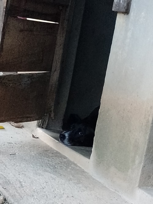 Acaban De Fumigar Mi Casa Y Tengo Miedo Por Qu, De Primero Mientras Guardaba Todo Mi Prima Solo Se Qued