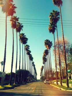 crssebs11:  California on We Heart It.