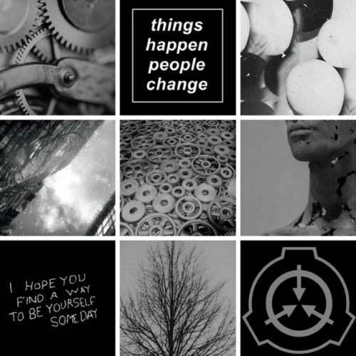 SCP Aesthetics — SCP Aesthetics: 1000 (requested by