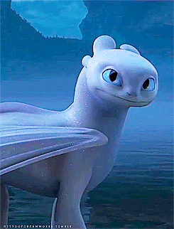 cxptain levi — httydofdreamworks: Night Fury vs Light Fury