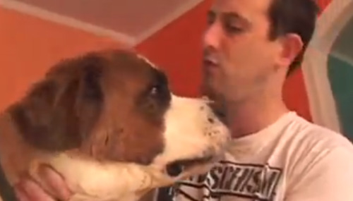 castielsrealwingman:  How different achievement hunters treat animals 