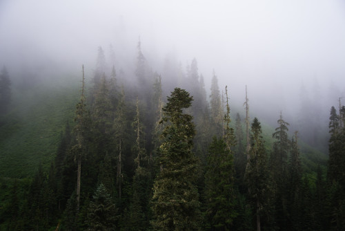 momentsbetween–sleep:   Dead Stop (by Erik HG)