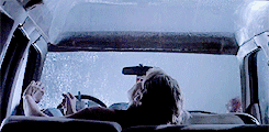 hazel-swan: T  U  R  N      T  H  A  T      L  I  G H T     O F