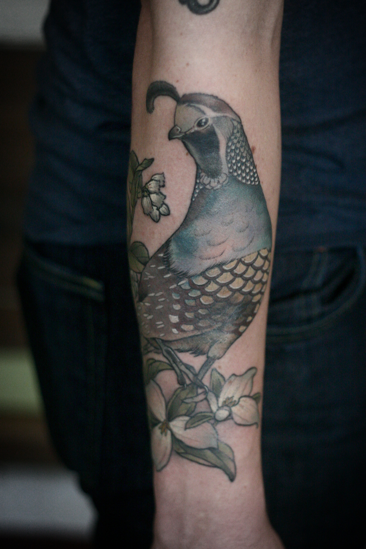 Black and grey portrait of a quail by Ryan Mullins TattooNOW