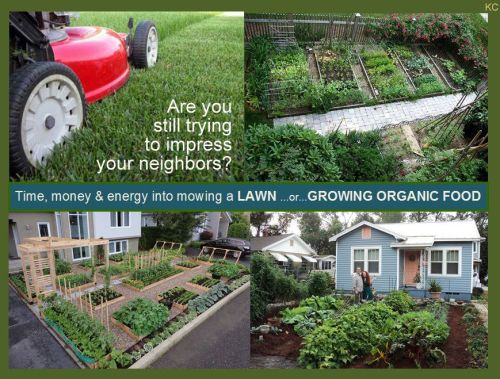 moniquill: iknowuthink: Expanded Consciousness Growing food instead of laws is good, but can we P