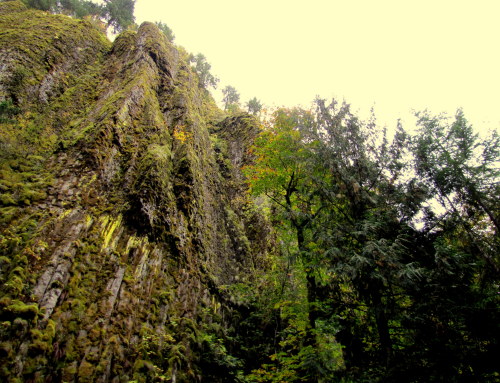 Dry Creek Falls- Oregon October 2013 