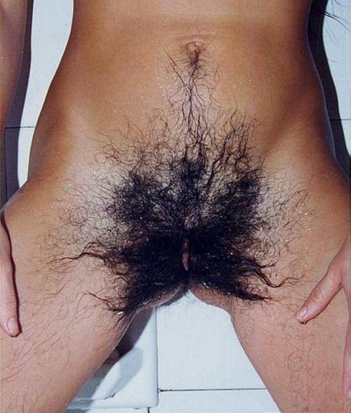 mega-pussy-bushes: Mega Hairy And Longhaired Josephine In Bath-digi-marked-
