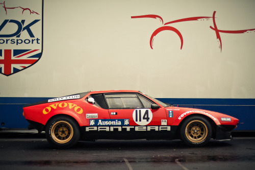 Pantera by ollismove