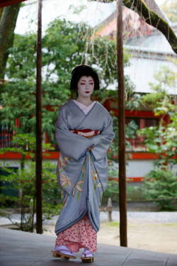 geisha-kai:  March 2015: geiko Toshimana of Miyagawacho (SOURCE)