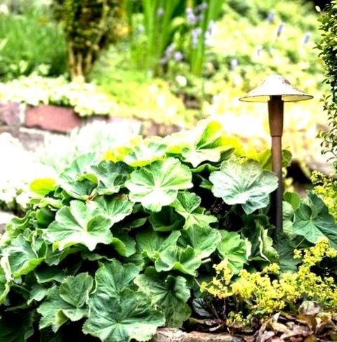 Retaining Walls - Traditional LandscapeDesign Concepts For A Sizable, Traditional, Full-sun Brick Yard