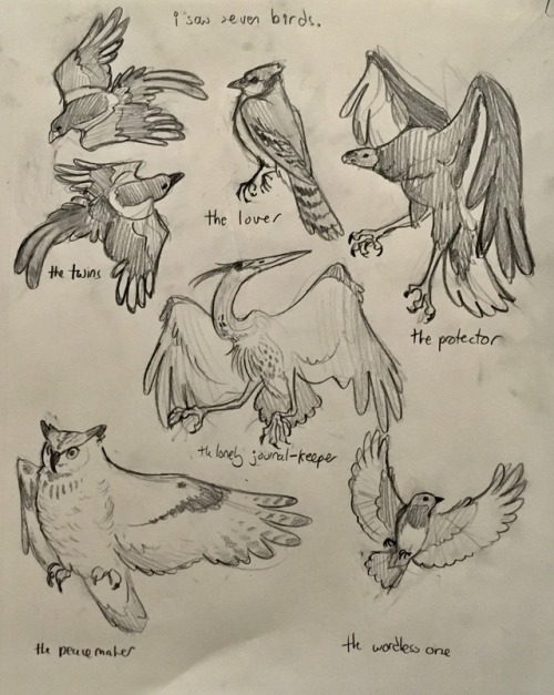 irradiatedsnakes:sketches for a possible paintingi saw seven birds:the twins (yellow billed magpie, 