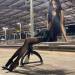 collant-asian-pantyhose::xxx