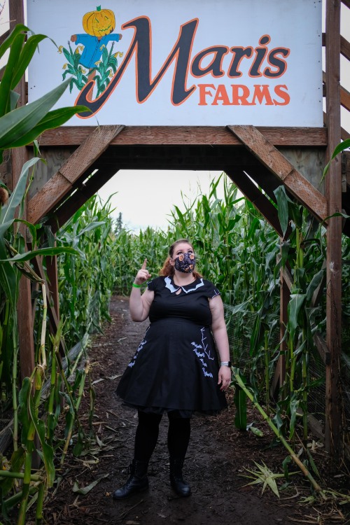 Photos of me from my trip to the pumpkin patch / corn maze! I’m the worst at knowing how to pose! It