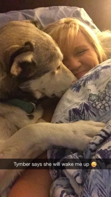 dog-husky:  My baby Tymber is a real snuggler