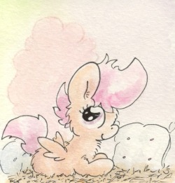 slightlyshade:  Here’s a little Scoot getting comfy!  &lt;3! So cute~