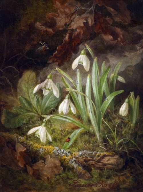 dreamsinthyme:Forest Floor Piece with Snowdrops by Josef Lauer