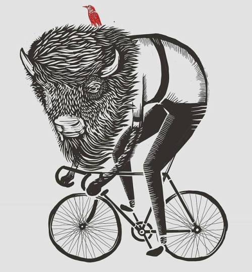 hizokucycles: #Repost from artist @velotheory - “On the commute.” #cycleart #bikeart #buffalo #cycli