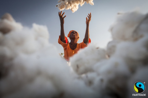 Meet Kady Waylie, the Fairtrade cotton farmer pictured on the front cover of our new 2012-13 Annual Report: Unlocking the Power.
Kady is one of West Africa’s 10 million cotton farmers. She and her family grow their own food, but their cash comes from...