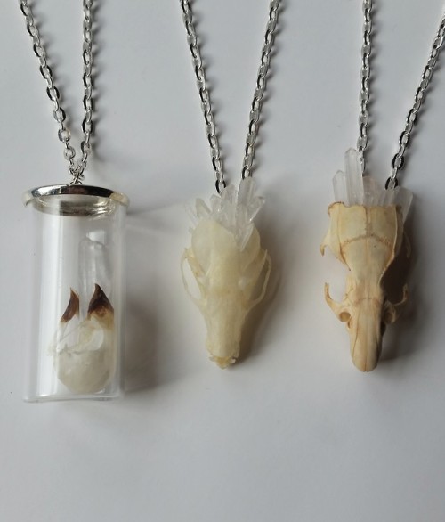 cummy–eyelids: Added some new necklaces to my etsy shop featuring real animal skulls and quart
