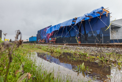 supersonicart: BEZT x Natalia Rak for Thinkspace’s RAD Napa. Polish artists BEZT (of Etam Cru)