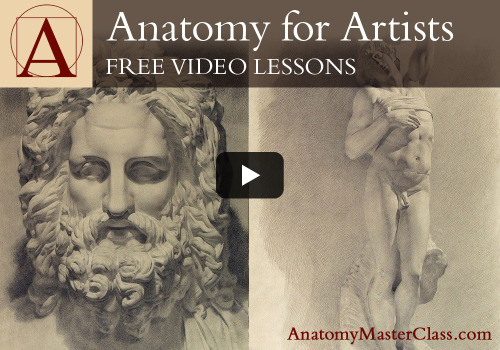 supersonicart: Anatomy Master Classes: Free Online Videos. Sponsoring Supersonic this week is Drawin