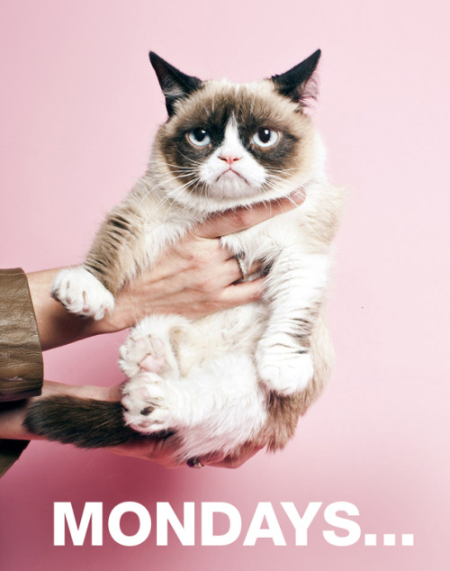reactmobile:  Hope you have a great Monday!
