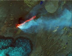 sixpenceee:  The Holuhraun lava field in Iceland (in false colour infrared and natural colour).Source: Jesse Allen/Landsat 8 - OLI/U.S. Geological Survey/NASA Earth Observatory