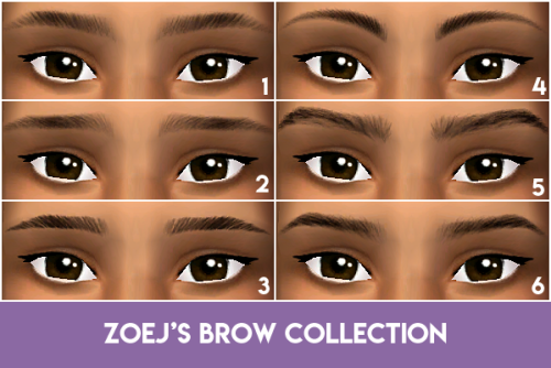 3 Eyebrow Sets In Remi’s V3 Colours (V2 Black)