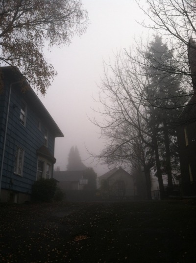 fog house