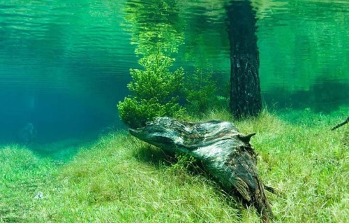 opticallyaroused:  Green lake in Austria ___________________ Grüner See (Green Lake) is a lake in Styria, Austria near the town of Tragöß. The lake is surrounded by the Hochschwab mountains and forests. The name “Green Lake” originated because