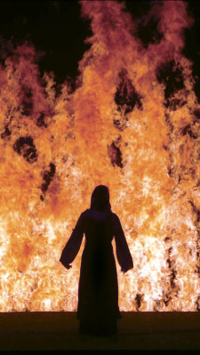 arpeggia:Bill Viola - Fire Woman, 2005