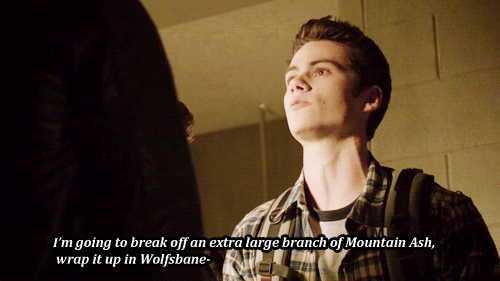 teenwolftoday:colethewolf:fuckyeahsterekfeels:#Stiles can defend himself thank you vey muchStiles ai