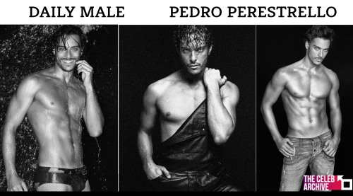thecelebarchive:  DAILY MALE - Exotic and seductive, male model from Brazil Pedro Perestrello.Pictures > http://bit.ly/tcapedroperestrello 