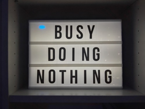 cut3panda:Busy doing nothing procrastination master right here