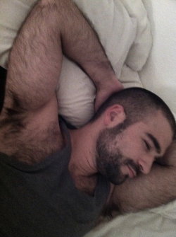 Hairy Men Heaven