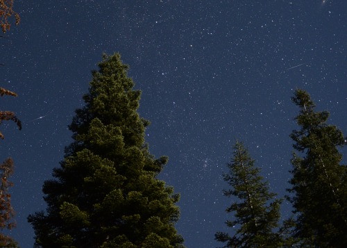 I know most of you won’t care but check it out 3 meteors in 1 frame.