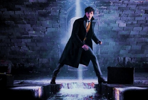 dumbledore-grindelwald:“The first film had a level of whimsy; the characters felt like children in g