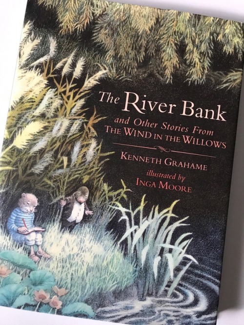 I absolutely adore the illustrations in this Wind in the Willows book. 