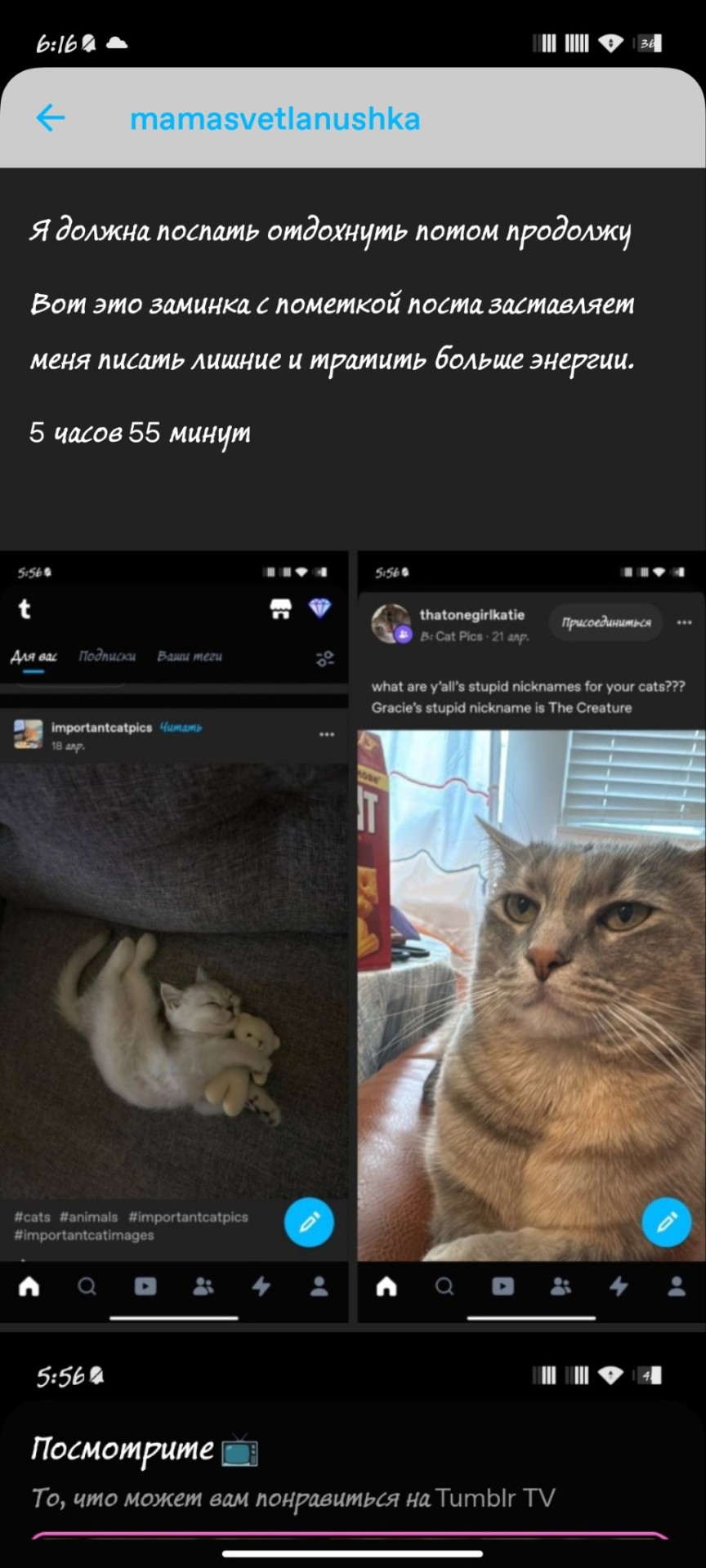 Tumblr media