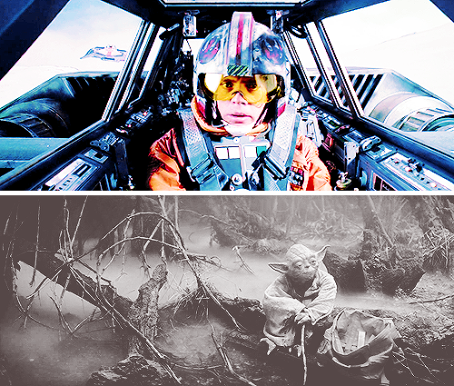 skywookieer:star wars challenge: favorite movie of the original trilogy - the empire strikes backYou