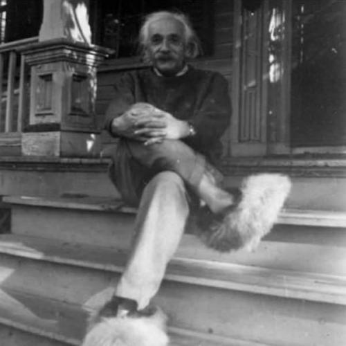peashooter85:Albert Einstein wearing fuzzy slippers