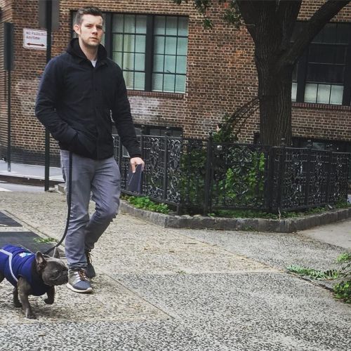 My new commute to work with @russelltovey waking Rocky #frenchbulldog #frenchie #rocky #woofwoof #bo