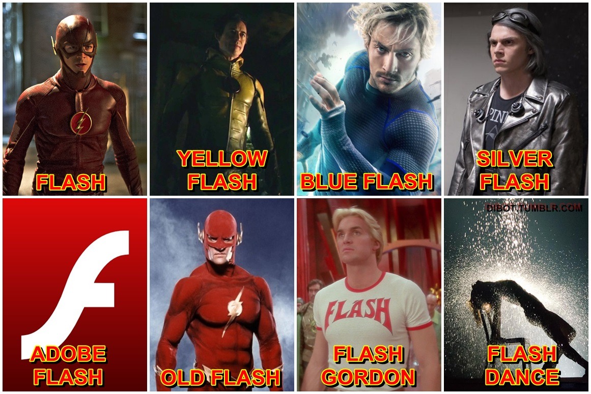 dibot:    The many types of Flash  