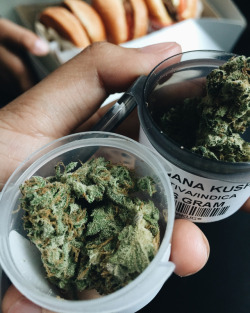 smkbrk:  ✌️ VISIT OUR DANK SHOP 🍍