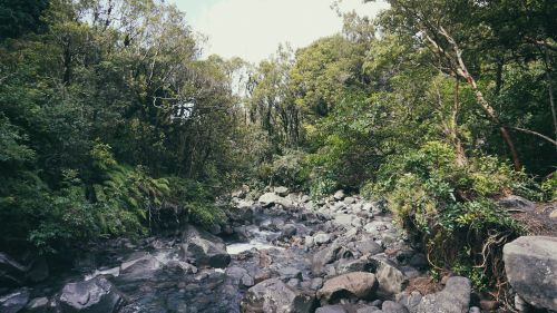 taranaki