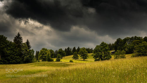 summertime by andydauer