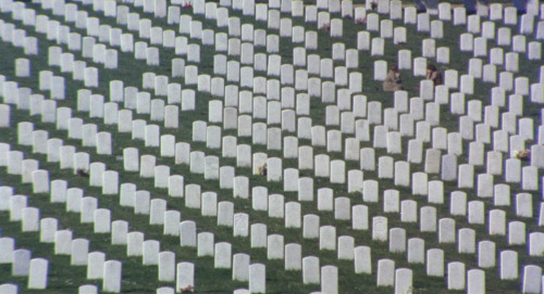 filmap:Harold and MaudeHal Ashby. 1971CemeteryNational Cemetery, Sneath Lane, San Bruno, CA 94066See