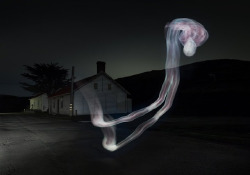 asylum-art:  Light Painting with 1,871 Slices