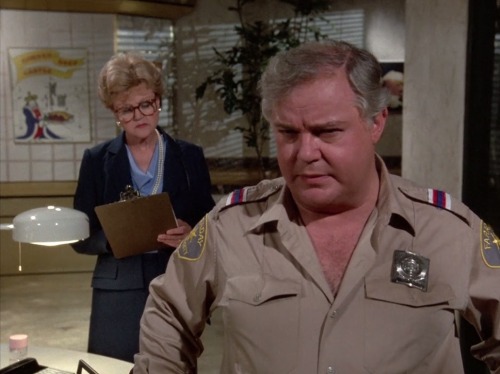 Murder, She Wrote (TV Series) - S3/E5 ’Corned Beef and Carnage’ (1986)Warren Berlinger as Jim Ingram