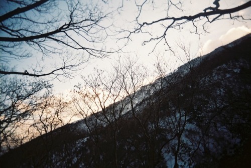 mt.fujiwara feb 15,2017